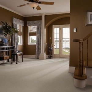 Pet friendly carpet flooring in Indianapolis
