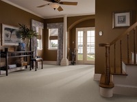 g_carpet_4