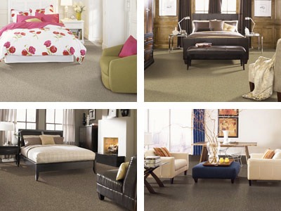 g_carpet_multi_1