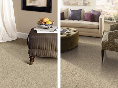 g_carpet_multi_2